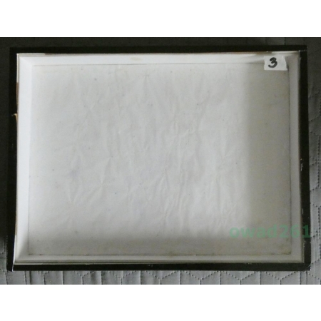 GABLOTA ENTOMOLOGICZNA OKLEINOWANA OSZKLONA 40/30cm z wyścieleniem (używana)3